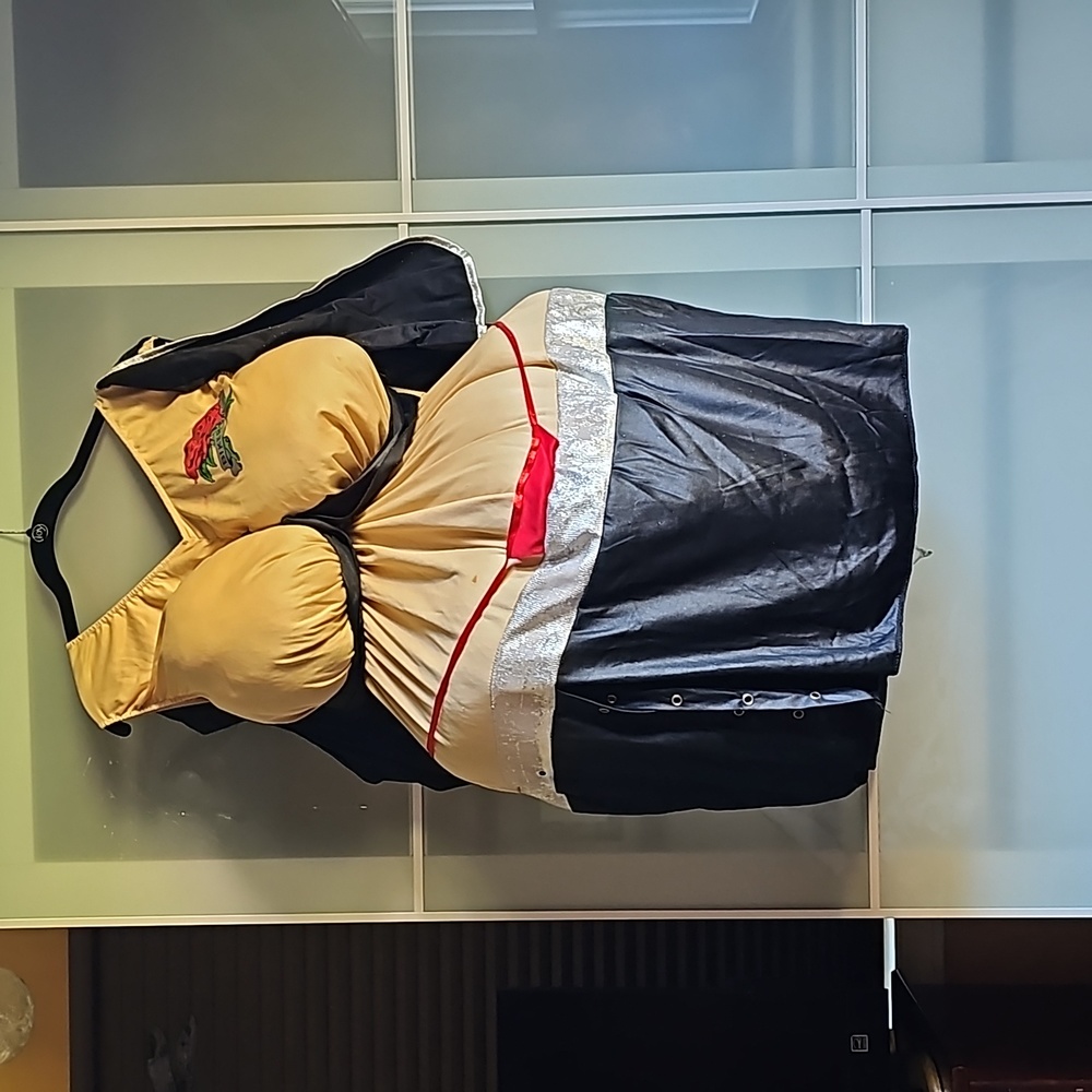 Used Halloween costume.